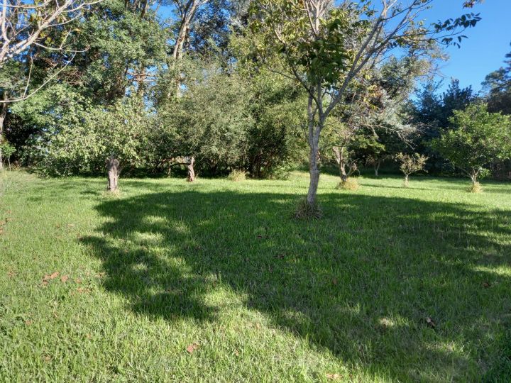 Casas - San Lorenzo - Venta