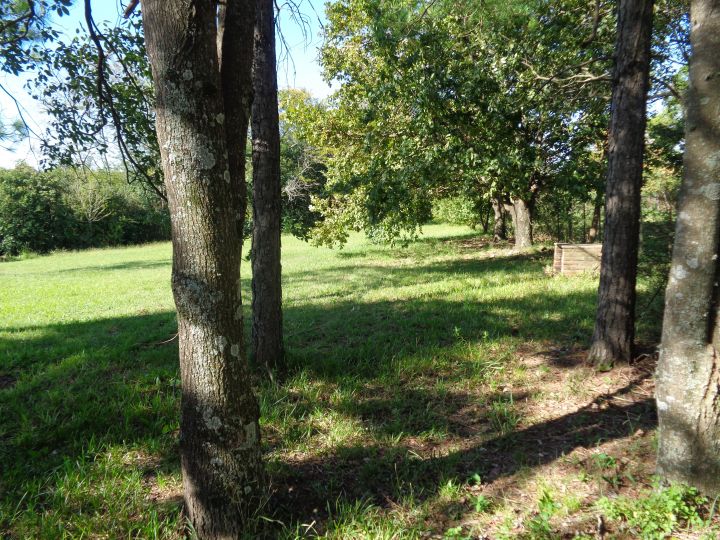 Casas - San Lorenzo - Venta