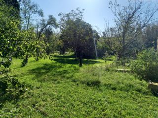 Casas - San Lorenzo - Venta