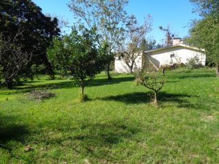 Casas - San Lorenzo - Venta
