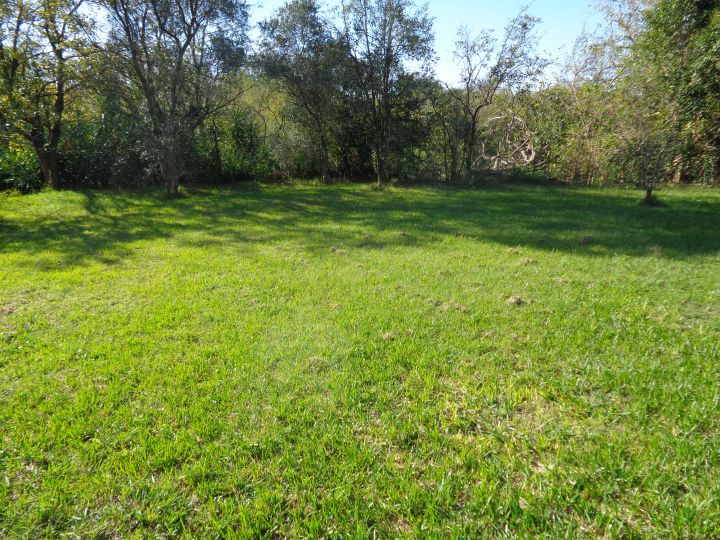 Casas - San Lorenzo - Venta
