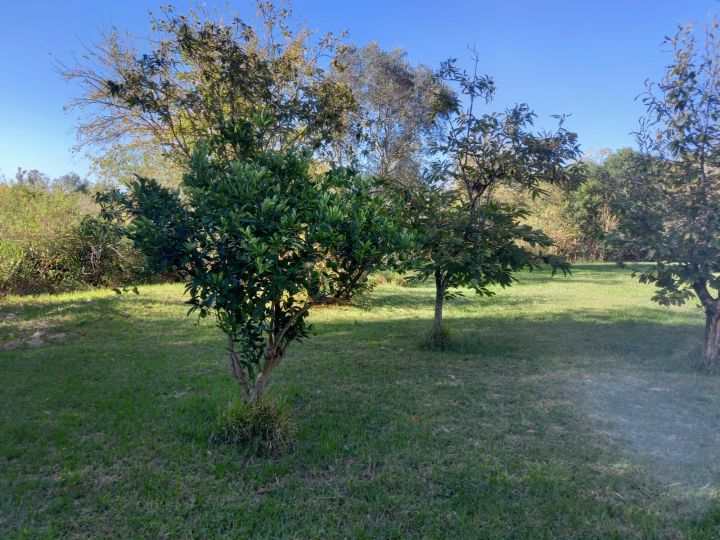 Casas - San Lorenzo - Venta