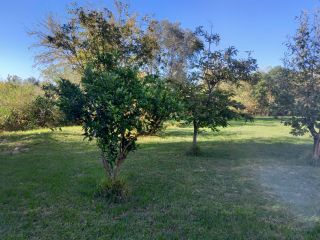 Casas - San Lorenzo - Venta