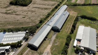 Galpones / Depósitos - Alvear -  Alquiler