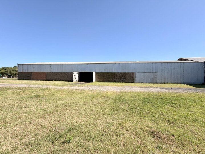 Galpones / Depósitos - Alvear -  Alquiler