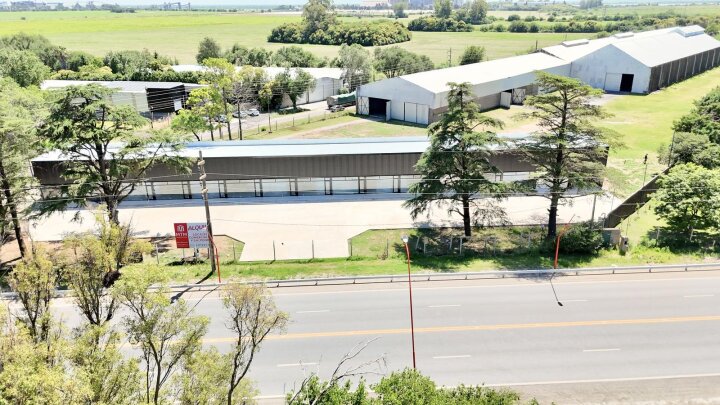 Galpones / Depósitos - Alvear -  Alquiler