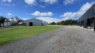 Galpones / Depósitos - Alvear -  Alquiler