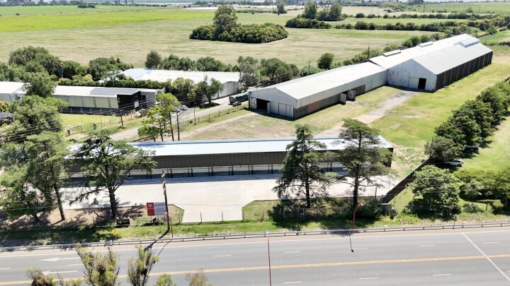 Galpones / Depósitos - Alvear -  Alquiler