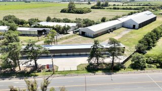 Galpones / Depósitos - Alvear -  Alquiler