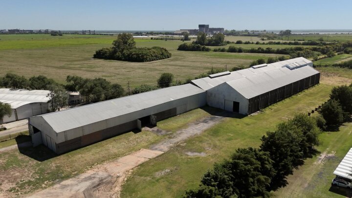 Galpones / Depósitos - Alvear -  Alquiler