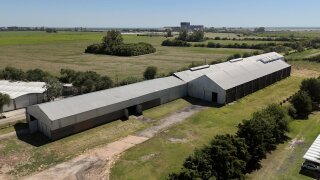 Galpones / Depósitos - Alvear -  Alquiler