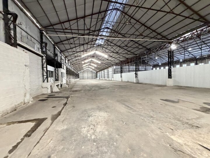 Galpones / Depósitos - Alvear -  Alquiler