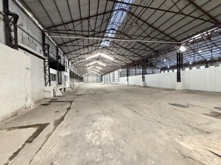 Galpones / Depósitos - Alvear -  Alquiler