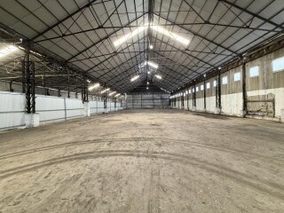 Galpones / Depósitos - Alvear -  Alquiler