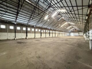 Galpones / Depósitos - Alvear -  Alquiler