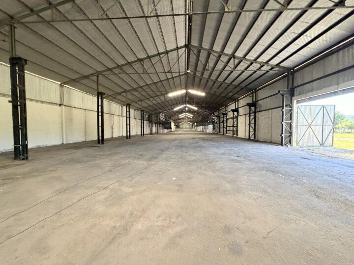 Galpones / Depósitos - Alvear -  Alquiler