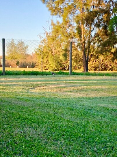 Casas - Iriondo - Venta