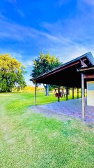 Casas - Iriondo - Venta