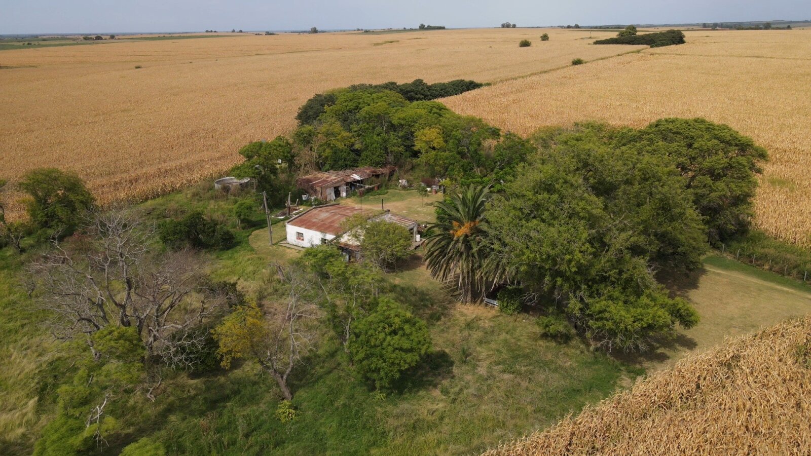 Campo en Rincon del Doll - 20,5 has con casa y mejoras - 9