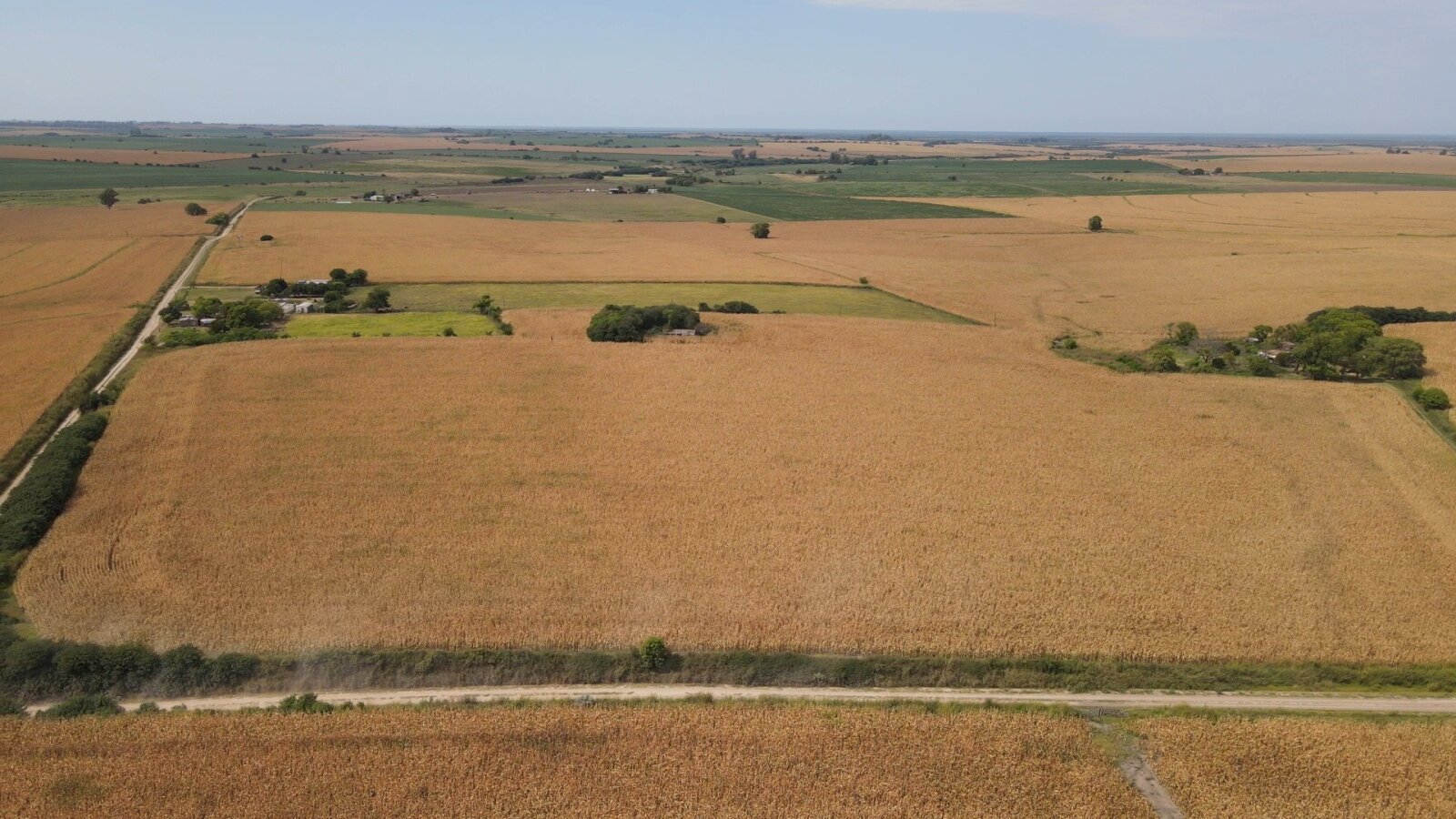 Campo en Rincon del Doll - 20,5 has con casa y mejoras - 11