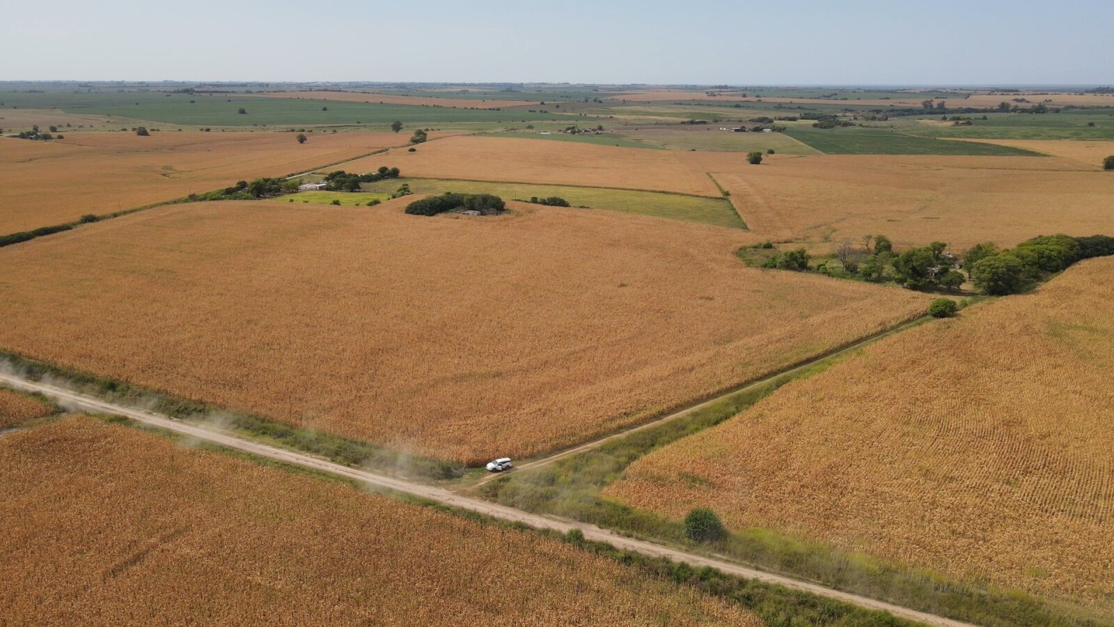 Campo en Rincon del Doll - 20,5 has con casa y mejoras - 17