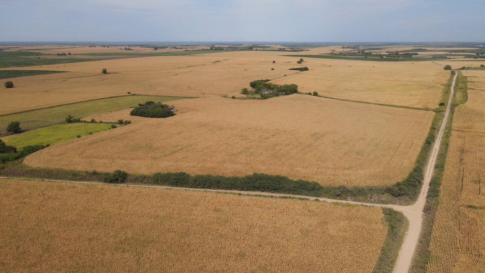 Campo en Rincon del Doll - 20,5 has con casa y mejoras - 3