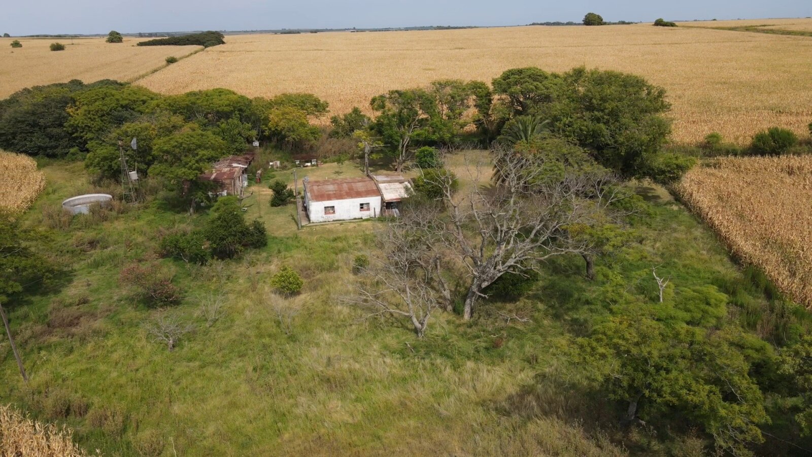 Campo en Rincon del Doll - 20,5 has con casa y mejoras - 8