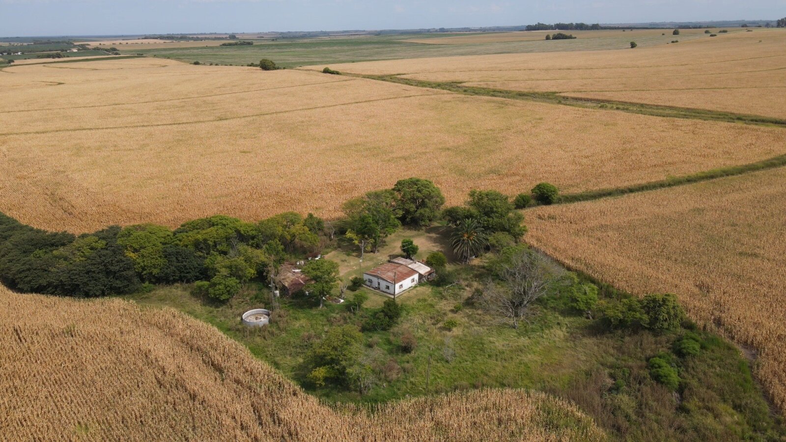 Campo en Rincon del Doll - 20,5 has con casa y mejoras - 7