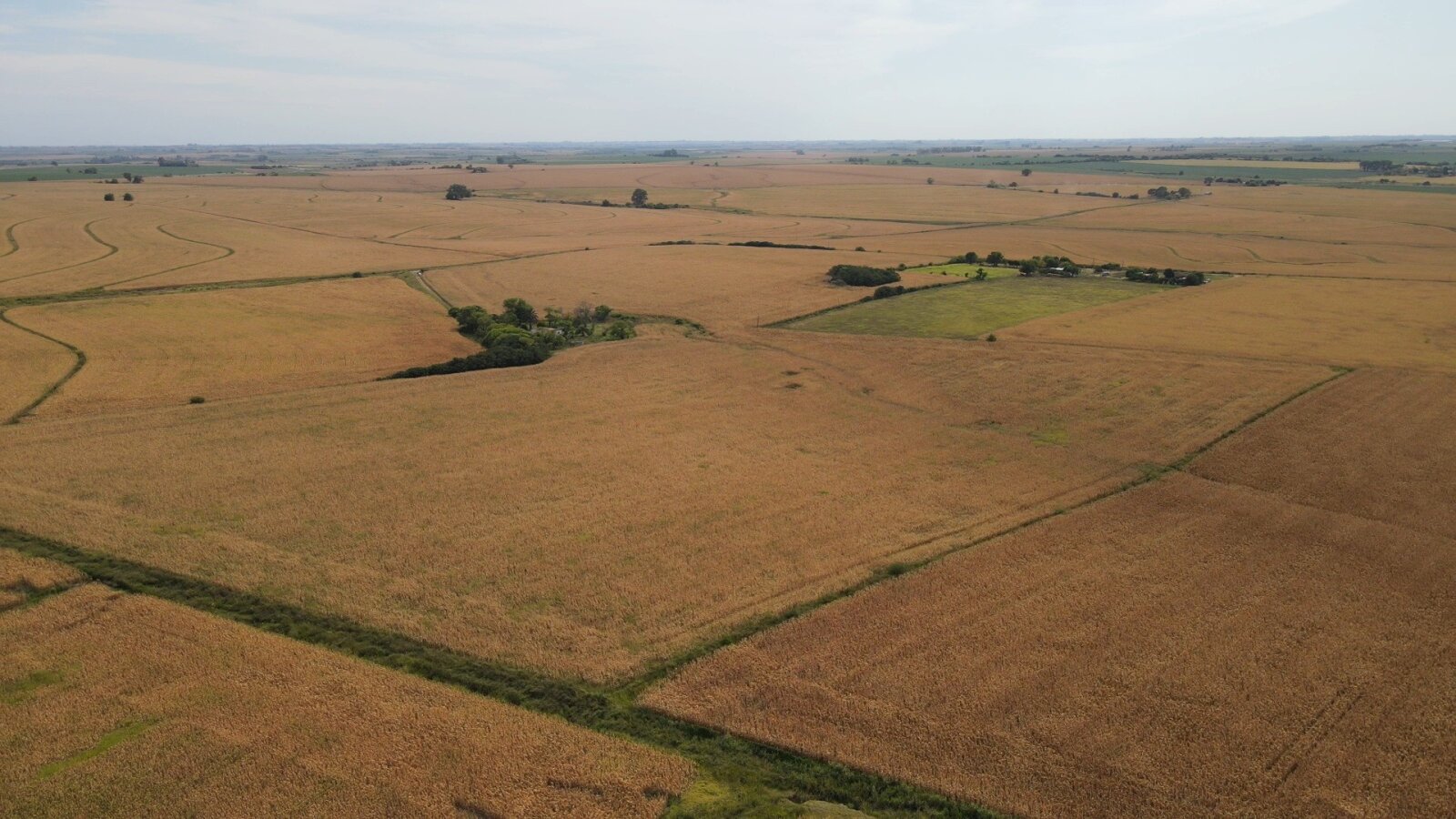 Campo en Rincon del Doll - 20,5 has con casa y mejoras - 12