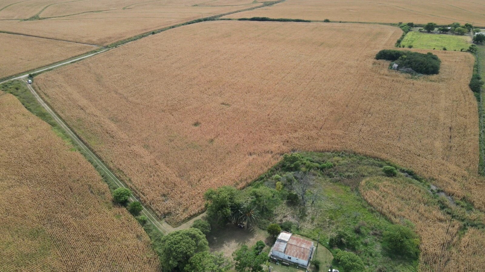Campo en Rincon del Doll - 20,5 has con casa y mejoras - 16