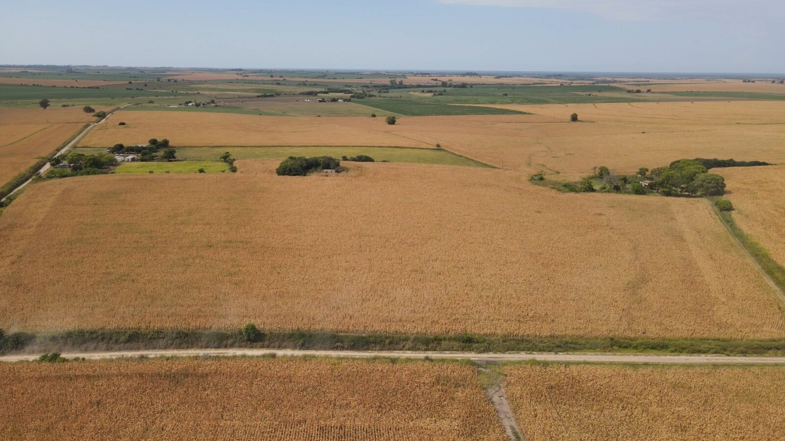 Campo en Rincon del Doll - 20,5 has con casa y mejoras - 2