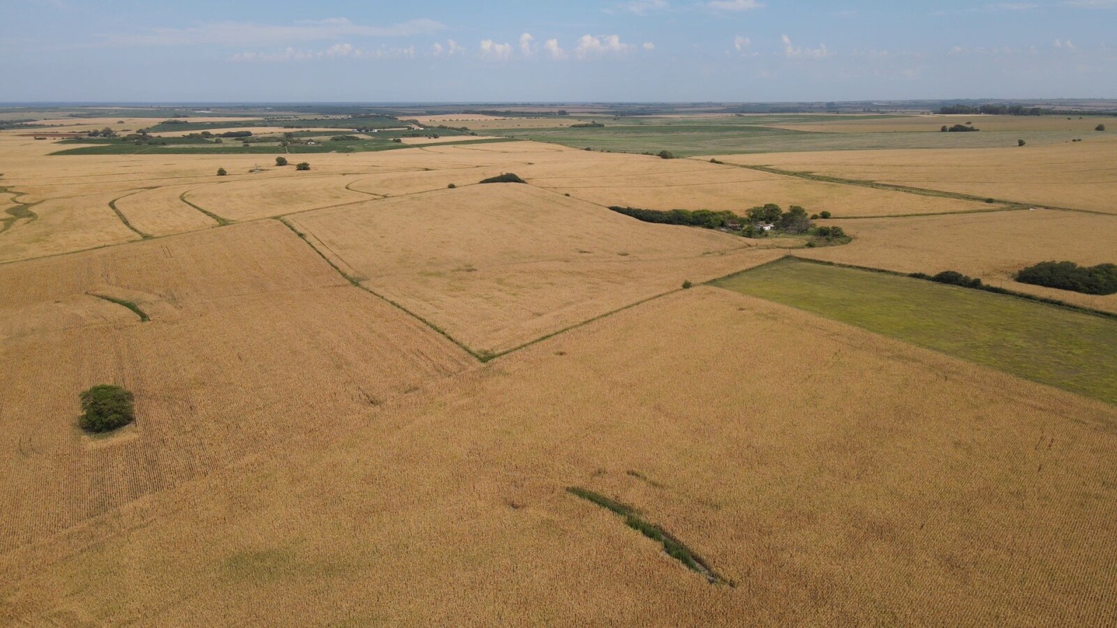 Campo en Rincon del Doll - 20,5 has con casa y mejoras - 13