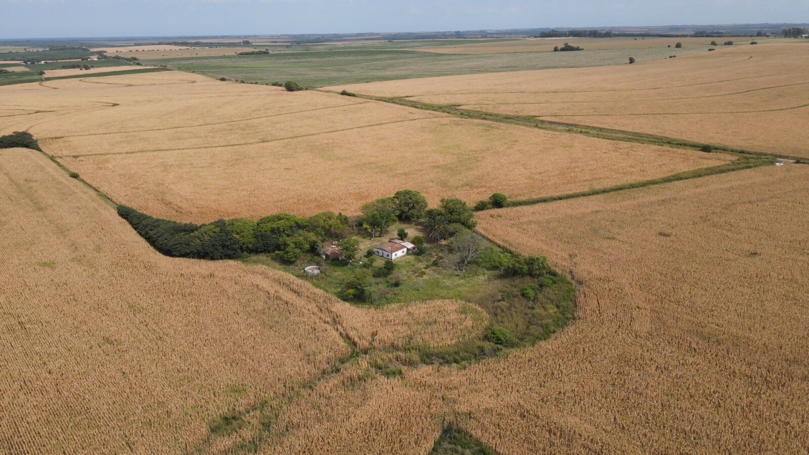 Campo en Rincon del Doll - 20,5 has con casa y mejoras - 14