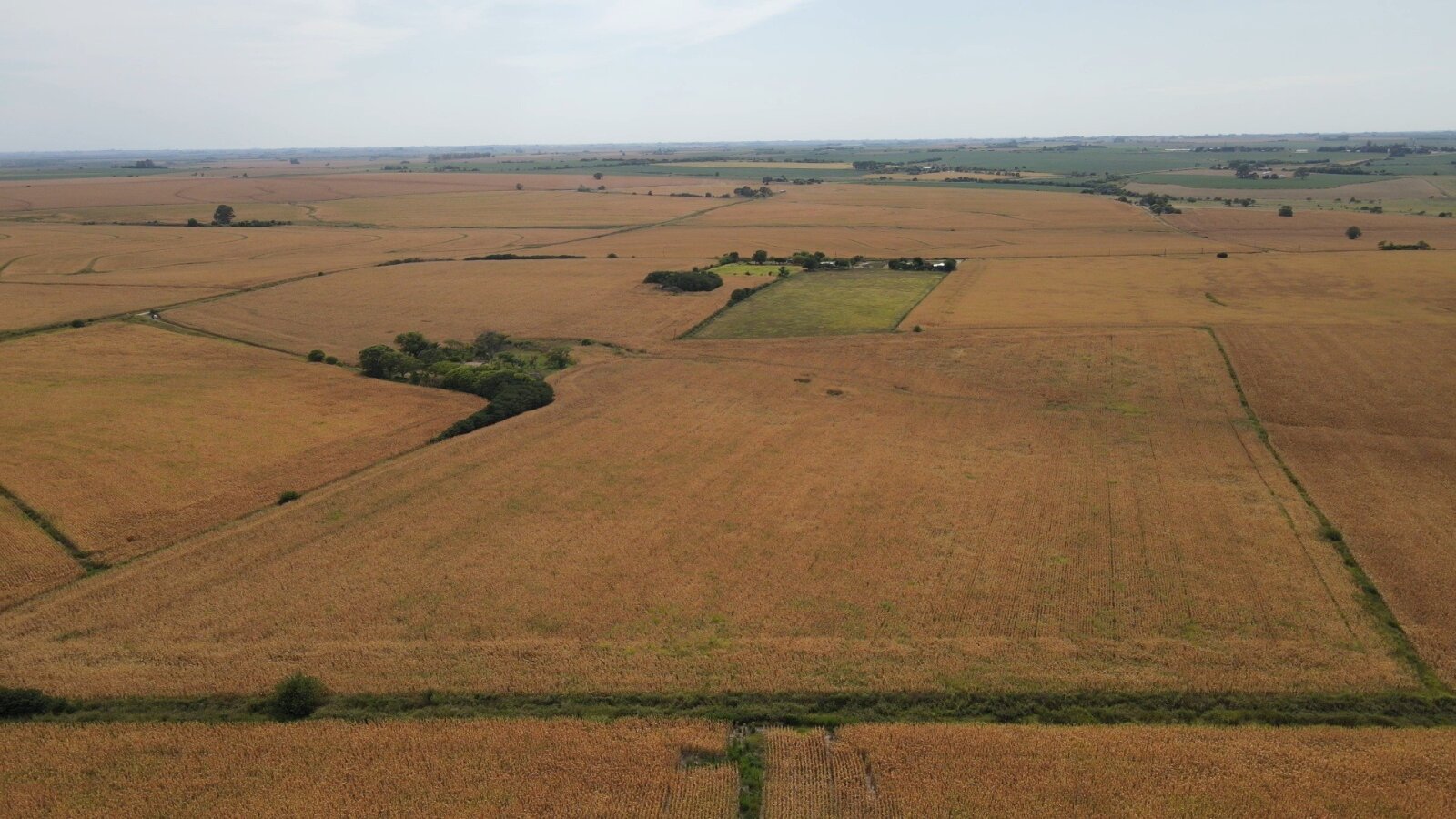Campo en Rincon del Doll - 20,5 has con casa y mejoras - 15