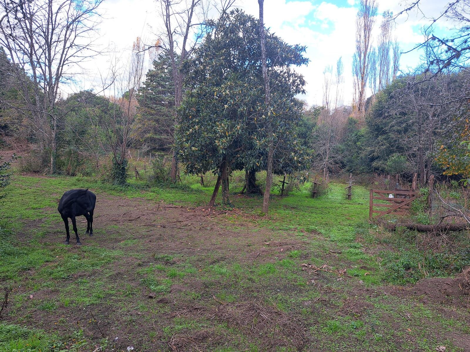 Campo en zona Intiyaco Villa Berna Los Reartes en Valle Calamuchita camino a Cumbrecita Sierras de Córdoba - 7