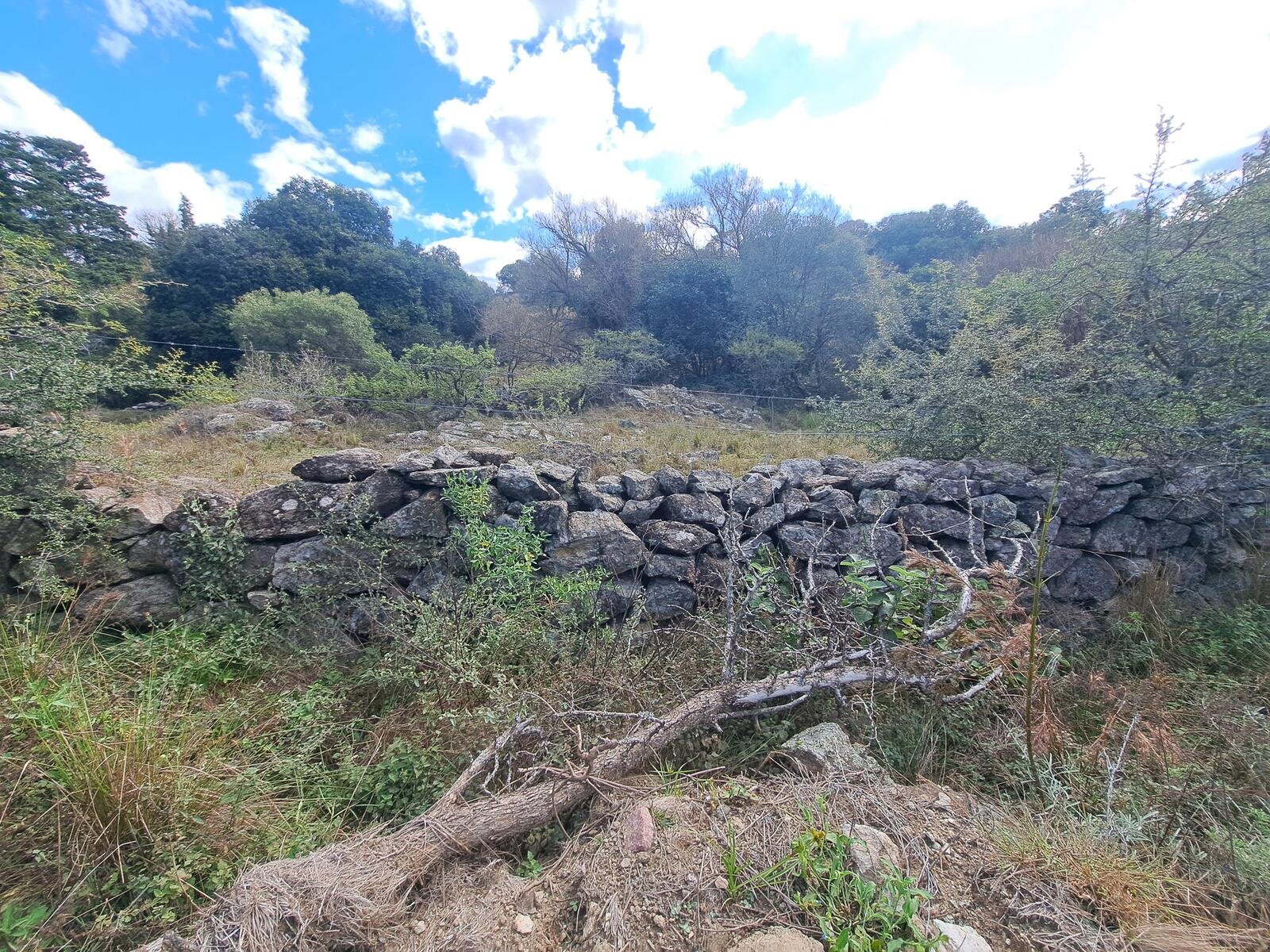 Campo en zona Intiyaco Villa Berna Los Reartes en Valle Calamuchita camino a Cumbrecita Sierras de Córdoba - 31