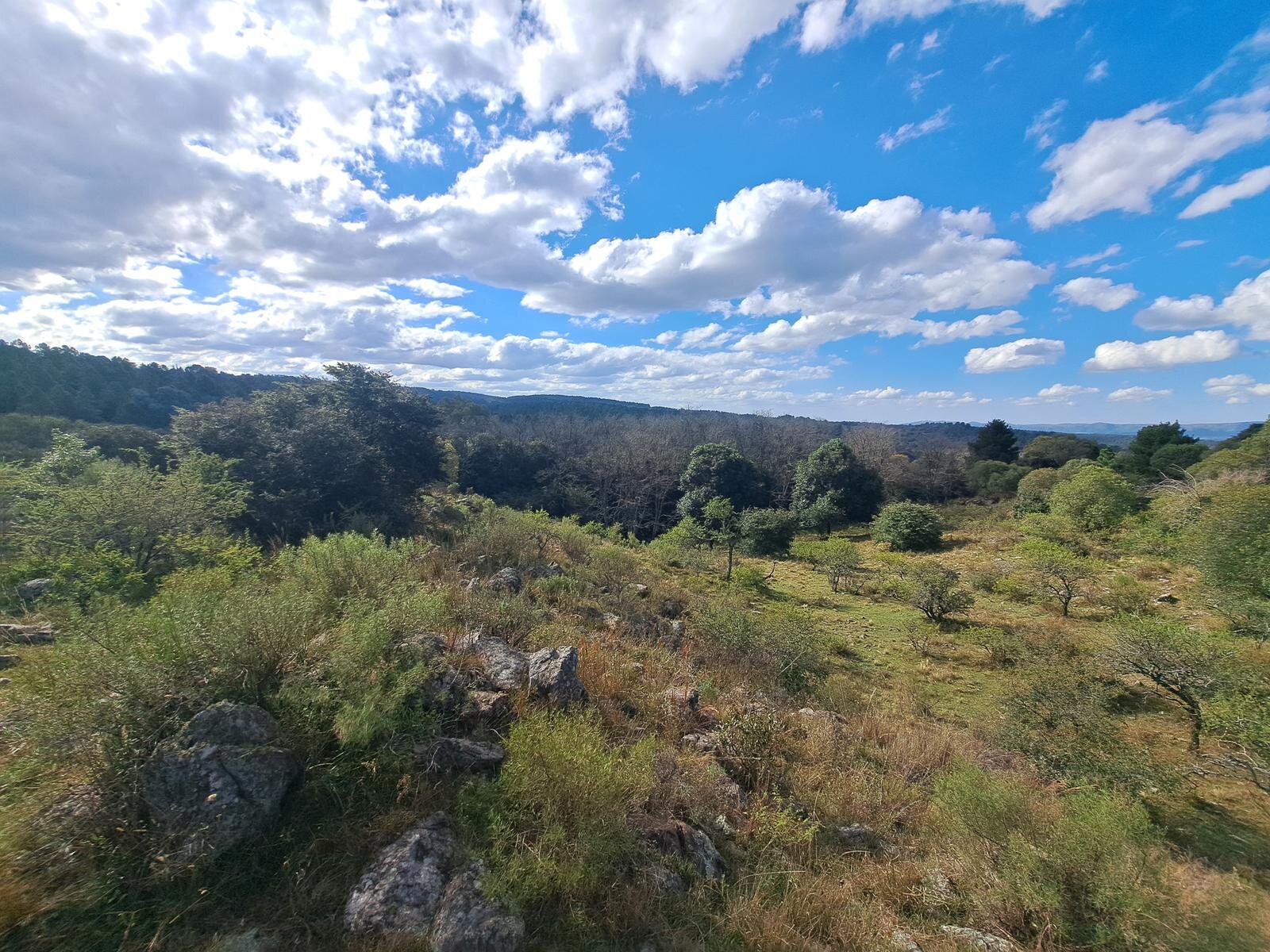 Campo en zona Intiyaco Villa Berna Los Reartes en Valle Calamuchita camino a Cumbrecita Sierras de Córdoba - 34