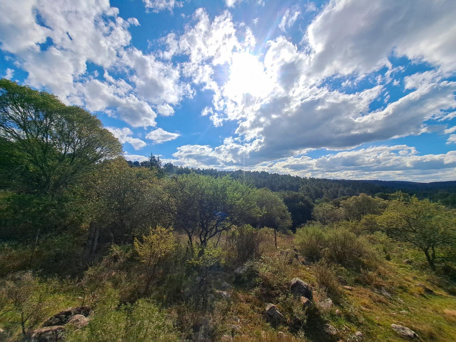 Campo en zona Intiyaco Villa Berna Los Reartes en Valle Calamuchita camino a Cumbrecita Sierras de Córdoba - 33