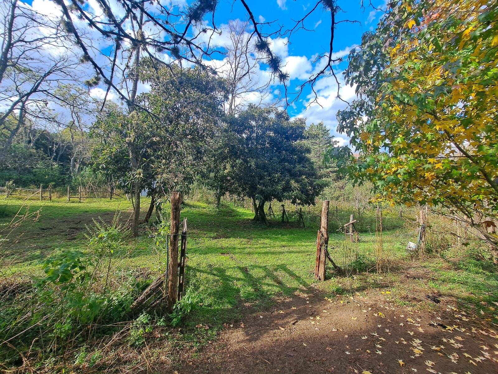Campo en zona Intiyaco Villa Berna Los Reartes en Valle Calamuchita camino a Cumbrecita Sierras de Córdoba - 9