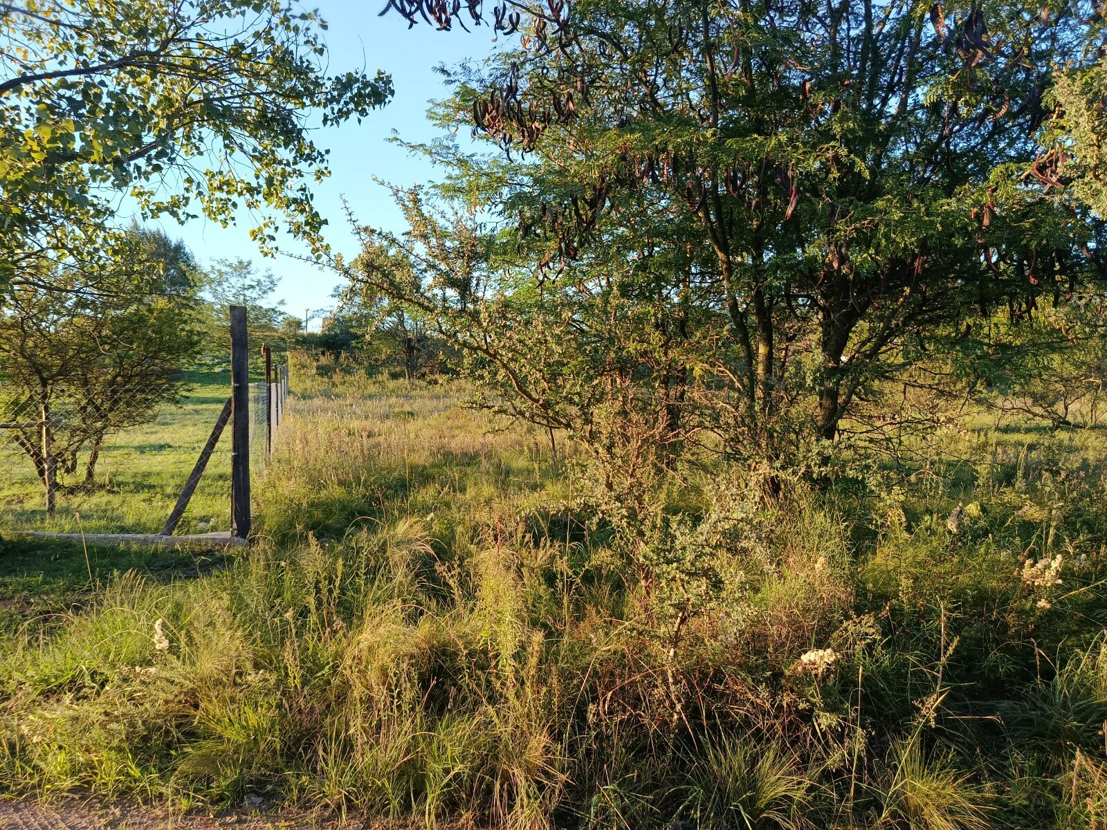 3 lotes, 3000m2, excelentes vistas - Va. GIARDINO - Imagen 4