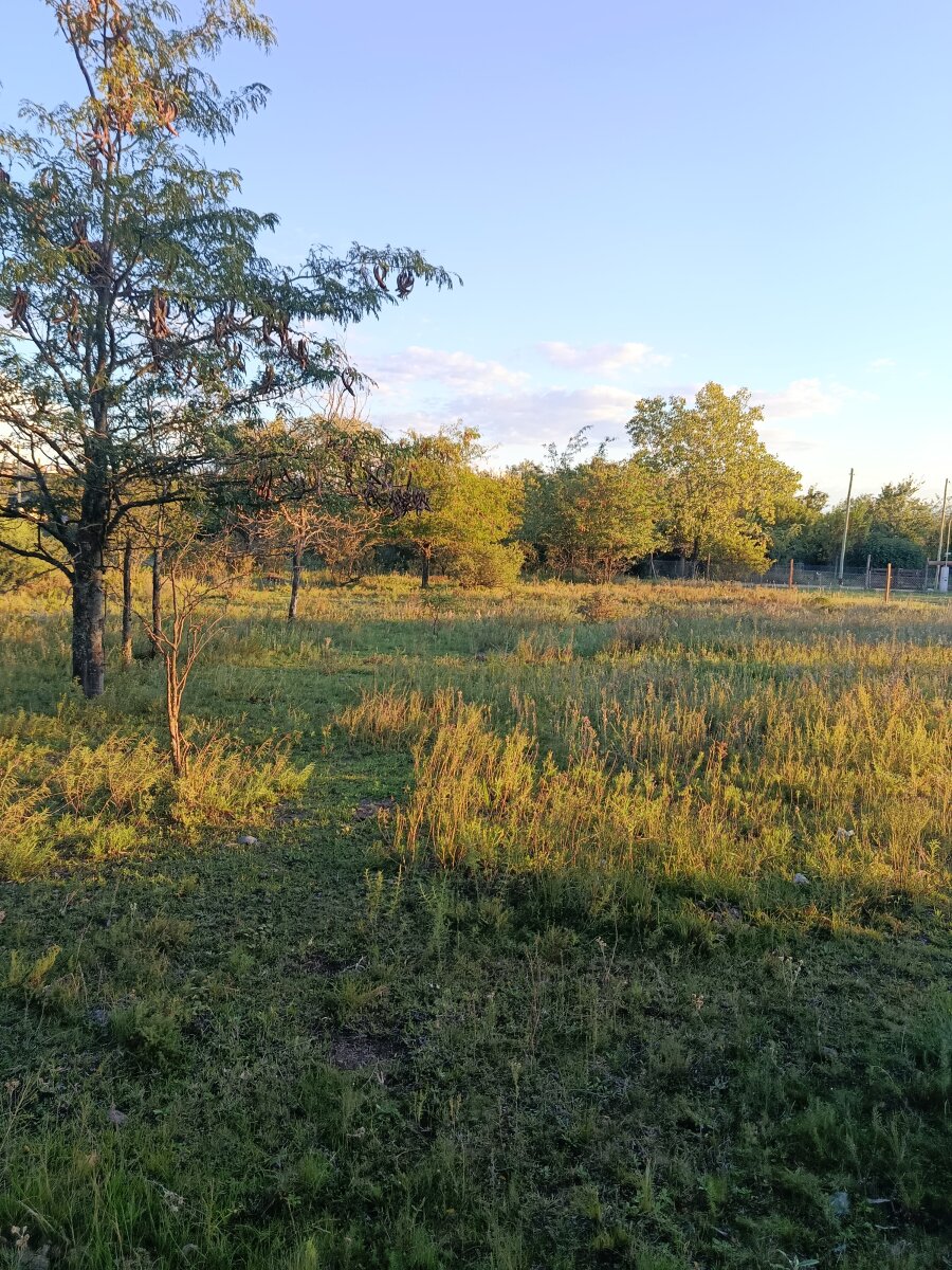 3 lotes, 3000m2, excelentes vistas - Va. GIARDINO - Imagen 11