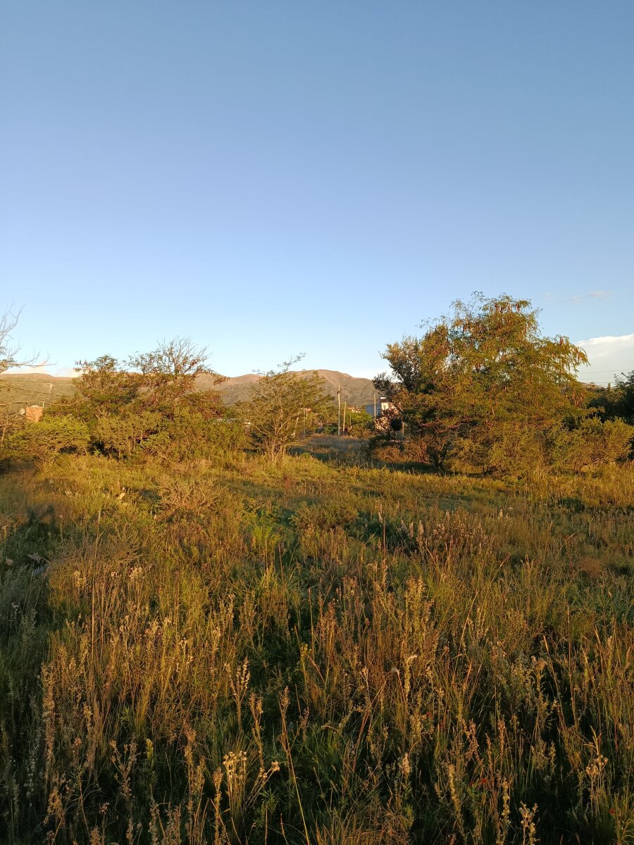 3 lotes, 3000m2, excelentes vistas - Va. GIARDINO - Imagen 6