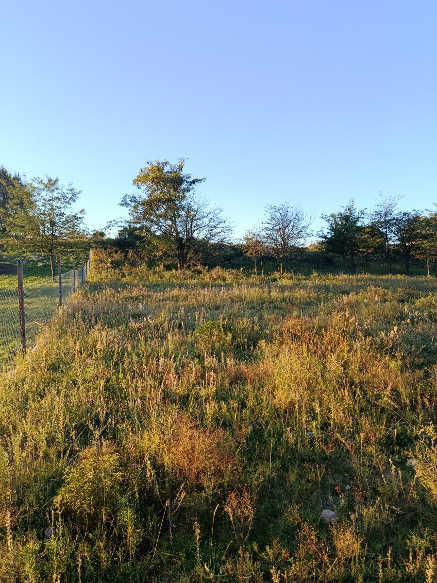 3 lotes, 3000m2, excelentes vistas - Va. GIARDINO - Imagen 5