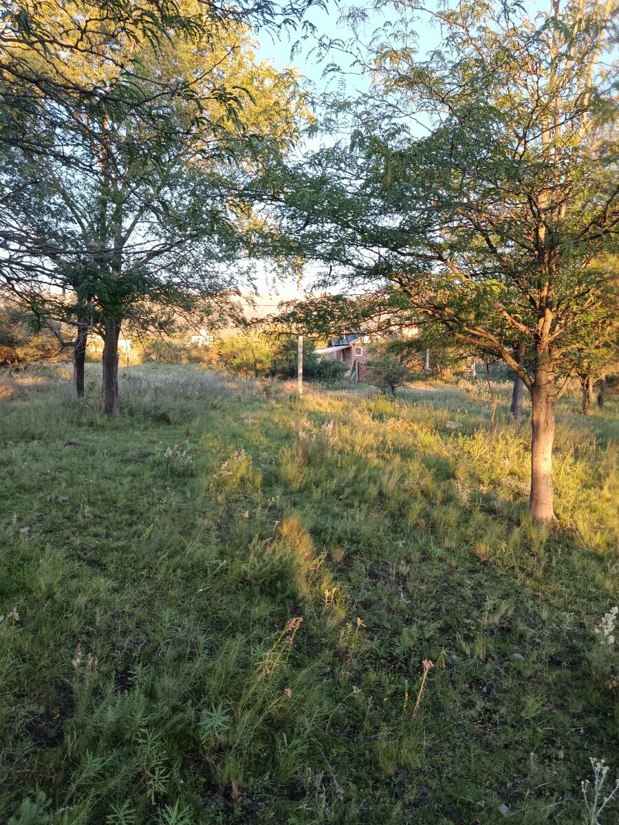 3 lotes, 3000m2, excelentes vistas - Va. GIARDINO - Imagen 12