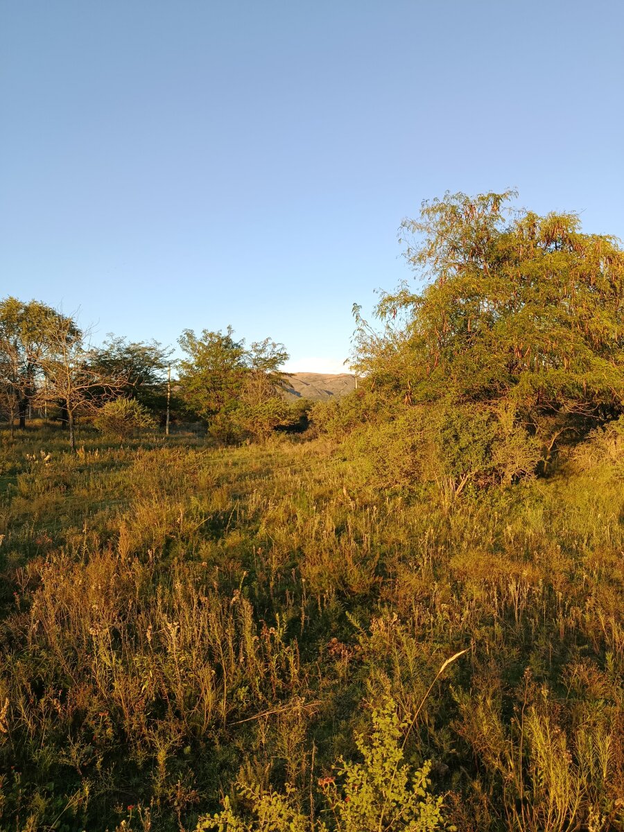 3 lotes, 3000m2, excelentes vistas - Va. GIARDINO - Imagen 7