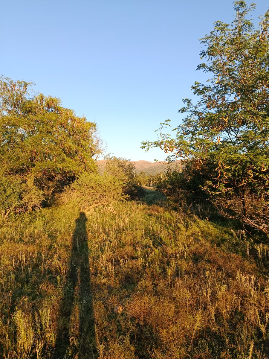 3 lotes, 3000m2, excelentes vistas - Va. GIARDINO - Imagen 8