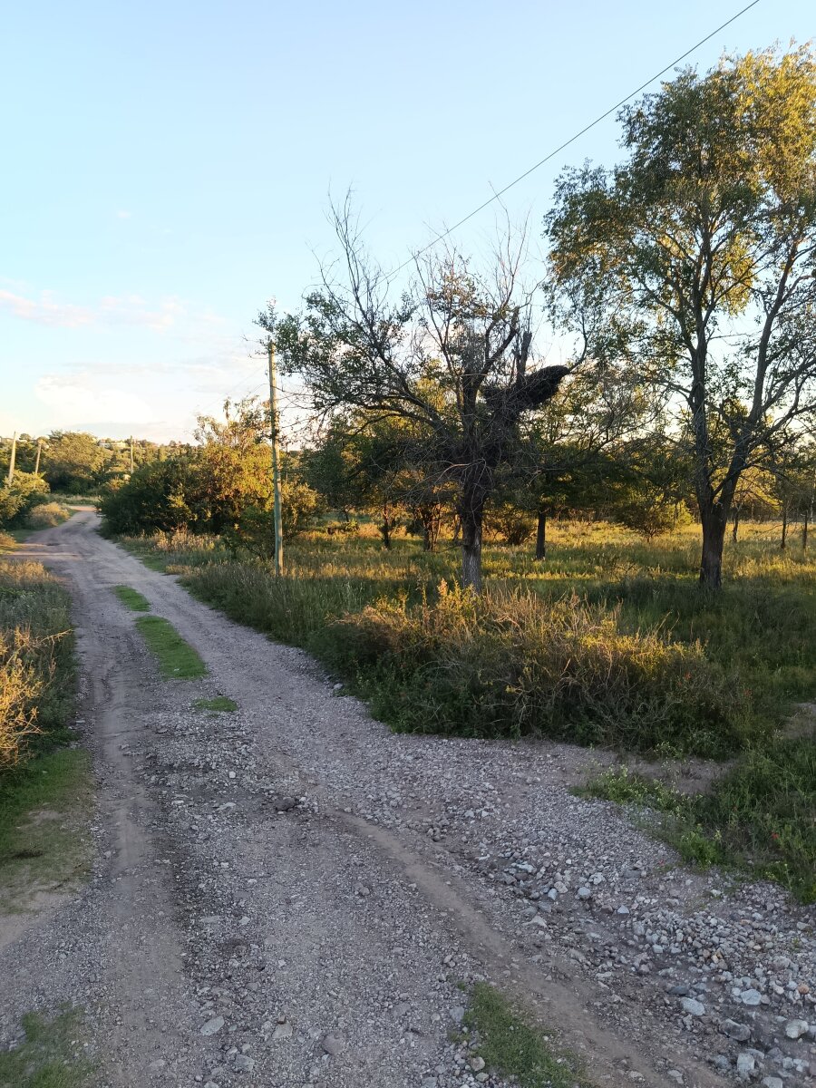3 lotes, 3000m2, excelentes vistas - Va. GIARDINO - Imagen 14