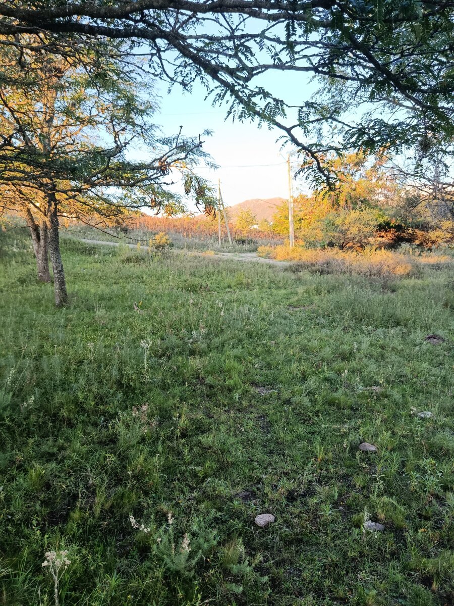3 lotes, 3000m2, excelentes vistas - Va. GIARDINO - Imagen 13