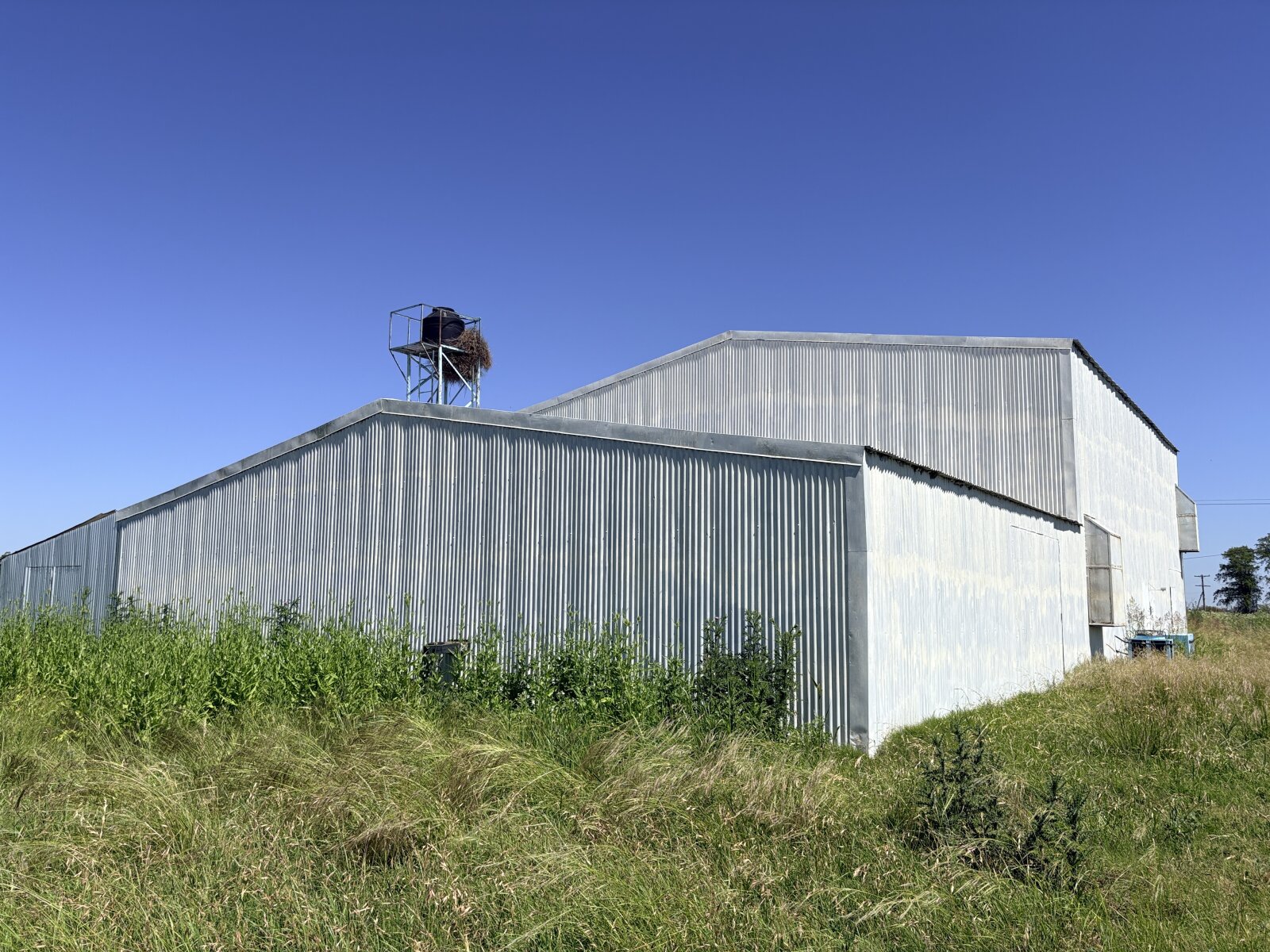 Criadero de Pollo - Nave Industrial 378 m2 - Ibarlucea