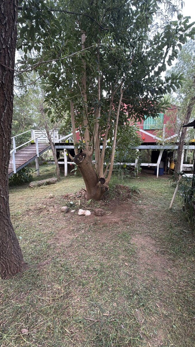 VENTA TERRENO CON CASA EN LA ISLA ESCRITURADO — foto 8